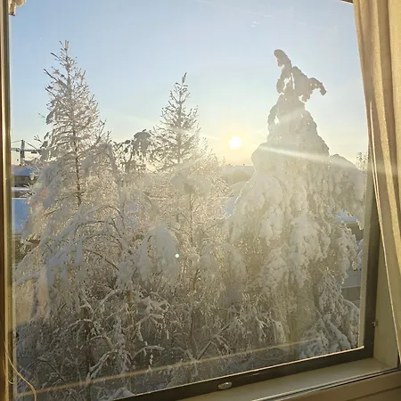 Karpalo * Rovaniemi