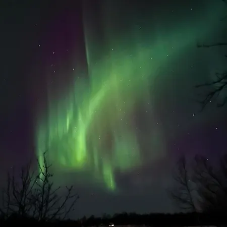 Karpalo * Rovaniemi